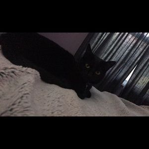 Meet your Posher, Lynn